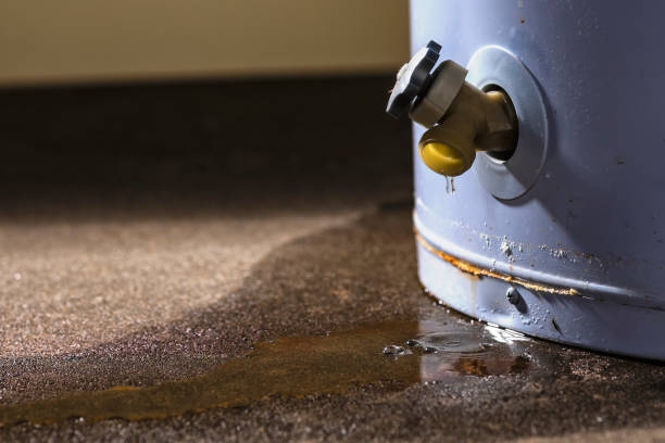 Best Residential water damage restoration  in Lookout Mountain, TN