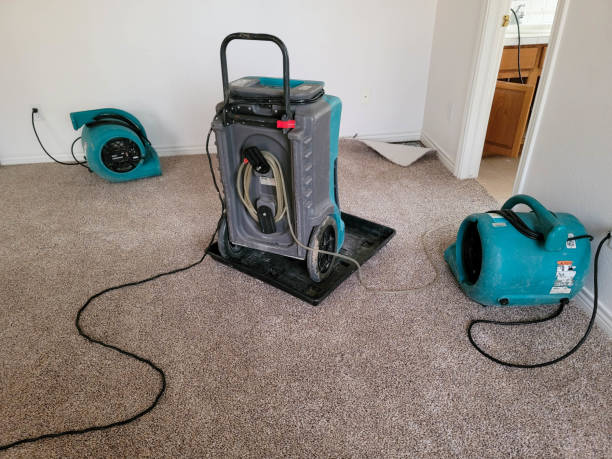 Best Water damage repair service  in Lookout Mountain, TN