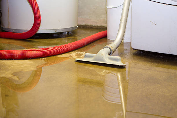  Lookout Mountain, TN Water damage restoration Pros