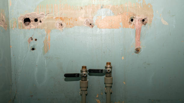 Best Residential water damage restoration  in Lookout Mountain, TN