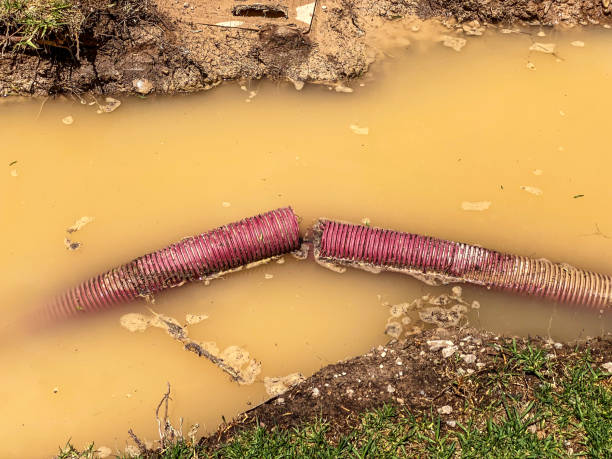  Lookout Mountain, TN Water damage restoration Pros